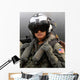 Us Navy Aviation Warfare Wall Decal