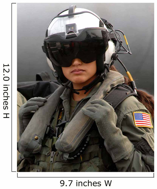 Us Navy Aviation Warfare Wall Decal
