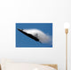 F-22 Raptor Performs during Wall Decal