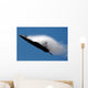 F-22 Raptor Performs during Wall Decal