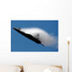F-22 Raptor Performs during Wall Decal