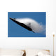 F-22 Raptor Performs during Wall Decal