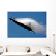 F-22 Raptor Performs during Wall Decal