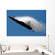 F-22 Raptor Performs during Wall Decal