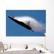 F-22 Raptor Performs during Wall Decal