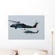 Sh-60f and Hh-60h Seahawk Wall Decal