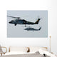Sh-60f and Hh-60h Seahawk Wall Decal