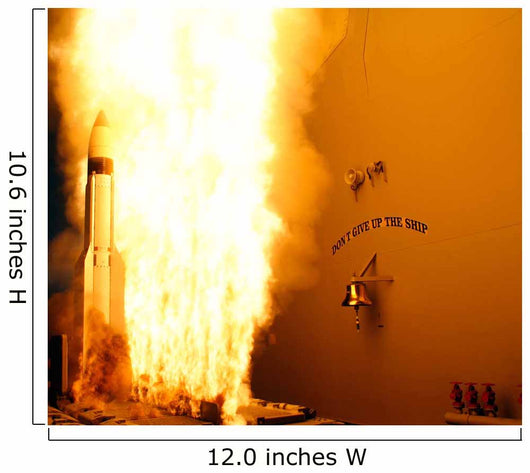 Standard Missile 3 Leaves Wall Decal