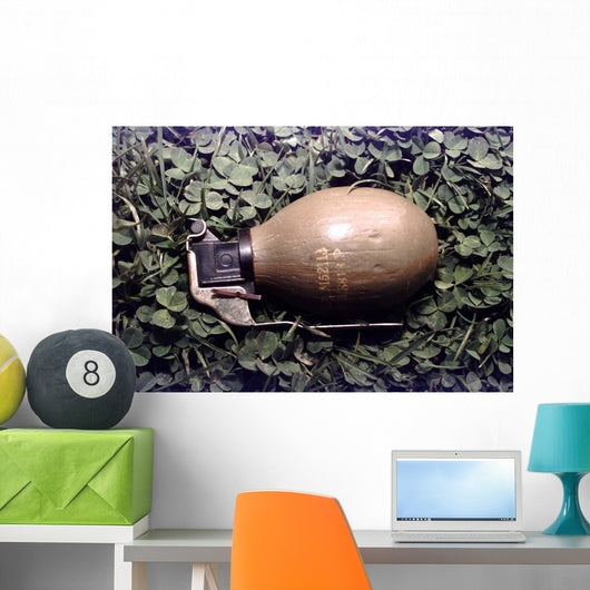 Former Yugoslavia M69 Anti-personnel Wall Decal
