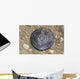 Simulated Land Mine Wall Decal