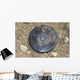 Simulated Land Mine Wall Decal