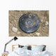 Simulated Land Mine Wall Decal