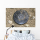 Simulated Land Mine Wall Decal