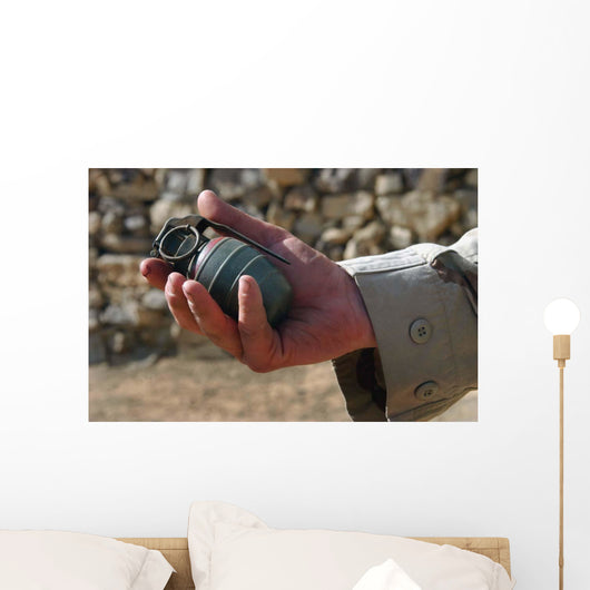 Arges Type Hg-84 Fragmentation Wall Decal