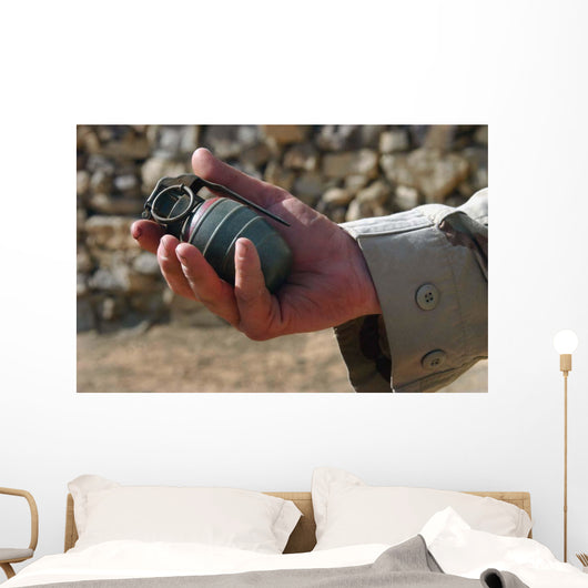 Arges Type Hg-84 Fragmentation Wall Decal