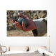 Arges Type Hg-84 Fragmentation Wall Decal