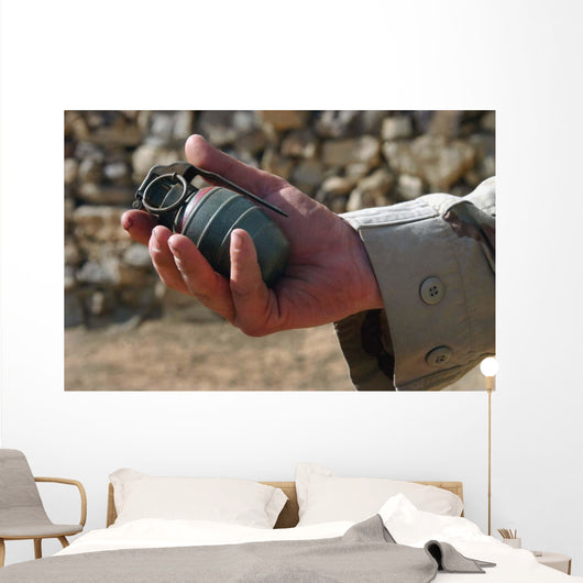 Arges Type Hg-84 Fragmentation Wall Decal