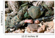 Us Marine Corps Private Wall Decal
