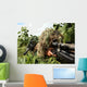 Soldiers Dressed Ghillie Suits Wall Decal