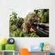 Soldiers Dressed Ghillie Suits Wall Decal