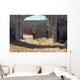 Airmen Find Designated Location Wall Decal
