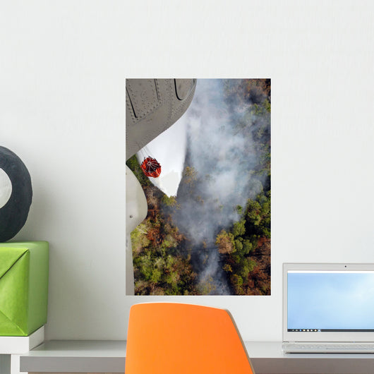 Air National Guard Unit Wall Decal