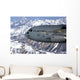 Spirit Denali Flies over Wall Decal