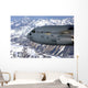 Spirit Denali Flies over Wall Decal