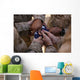 Marines Fold American Flag Wall Decal Design 2