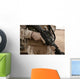 Marine Displays Required Hand Wall Decal