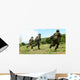 Royal Thai Marines Rush Wall Decal