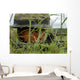 Infantryman with Royal Thai Wall Decal