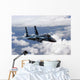 F-15c Aggressor Flies over Wall Decal Design 2