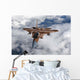 F-15c Aggressor Flies over Wall Decal Design 3