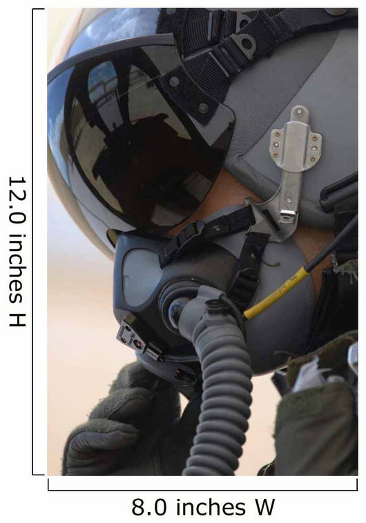 Pilot Sits His A-10 Wall Decal