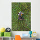 Army Sergeant Waits for Wall Decal