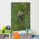 Army Sergeant Waits for Wall Decal