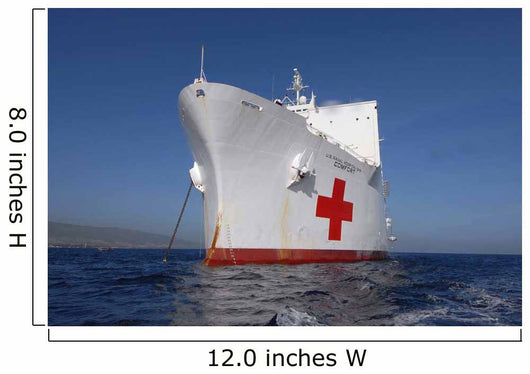 Military Sealift Command Hospital Wall Decal Design 1