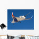 Blended Wing Body X-48b Wall Decal Design 1