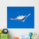 Blended Wing Body X-48b Wall Decal Design 2