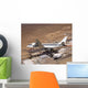 Nasa's Dc-8 Airborne Science Wall Decal