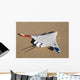 X-48b Blended Wing Body Wall Decal Design 1
