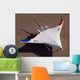 X-48b Blended Wing Body Wall Decal Design 4