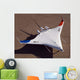X-48b Blended Wing Body Wall Decal Design 4