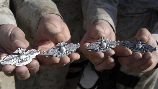 Sailors Display Their Fleet Wall Decal