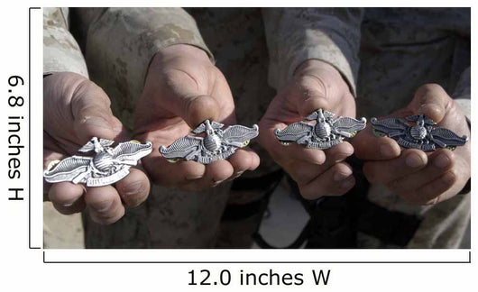 Sailors Display Their Fleet Wall Decal