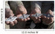Sailors Display Their Fleet Wall Decal