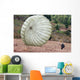 Wind Pushes Honduran Soldier's Wall Decal