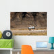 Mq-9 Reaper Wall Decal