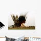Explosion Wall Decal Design 1
